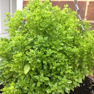 2016-07-30_091618074_C390F_iOS